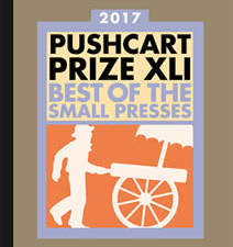 2017 Pushcart Prize nominees