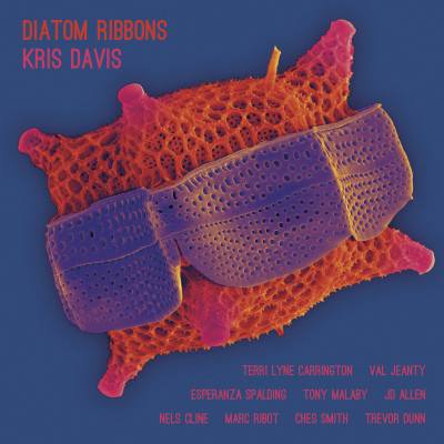 On the Turntable:  Diatom Ribbons, by Kris Davis