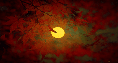 photo by Claudia Dea