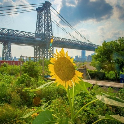 photo via RawPixel.com