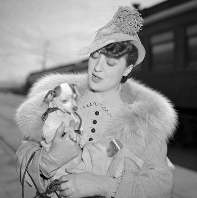 Los Angeles Daily News, CC BY 4.0 , via Wikimedia Commons