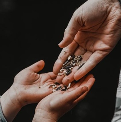 Poetry photo by Nathan J. Hilton/via Pexels